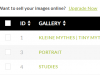 2-Gallery-name